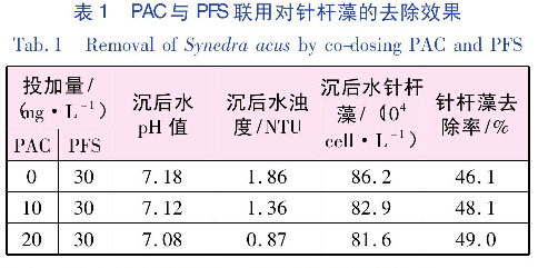 表1PAC與PFS聯用對針桿藻的去除效果